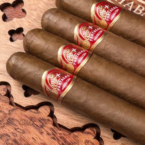 Partagas Tropicales 175 Aniversario Cigar Humidor - Image 5
